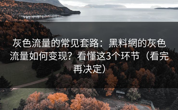 灰色流量的常见套路：黑料網的灰色流量如何变现？看懂这3个环节（看完再决定）